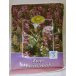 Macierzanka 50gr. (Serpylli herba)